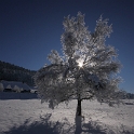 Lac de Joux - 022